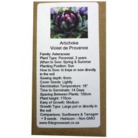 6 Degrees East Heirloom Veg Seeds - Artichoke - Violet de Provence